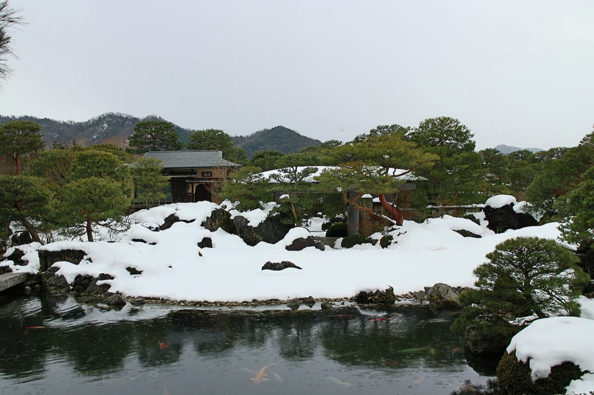 積雪中的足立美術館池庭 —— 官方記載池水水溫穩定，鯉魚冬天也不冬眠