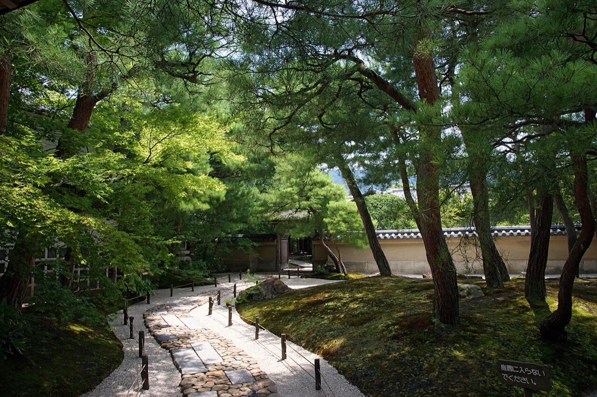 足立美術館苔庭與「請勿進入庭園」的告示牌 —— 官方明言這是從館內欣賞的鑑賞式庭園