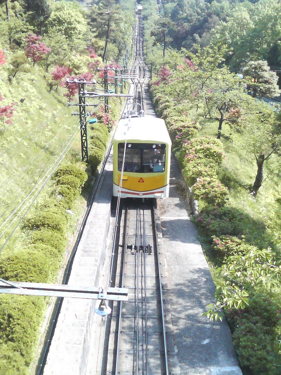天橋立傘松公園的黃色纜車（ケーブルカー）行駛在兩側開滿杜鵑花的陡坡軌道上，從上方俯瞰可看到筆直延伸的單線軌道