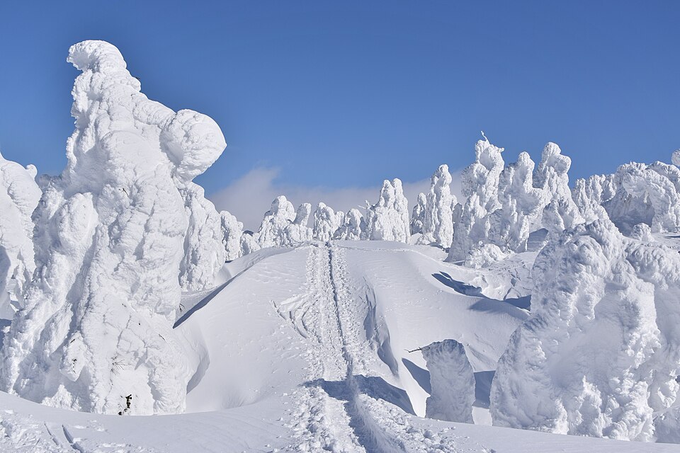 八甲田山の冬季樹氷（スノーモンスター），巨大霧氷覆蓋整片山林