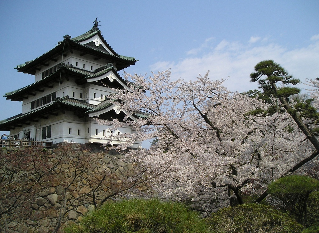 弘前城（弘前公園）春季滿開的吉野櫻，粉紅花瓣映出天守閣倒影