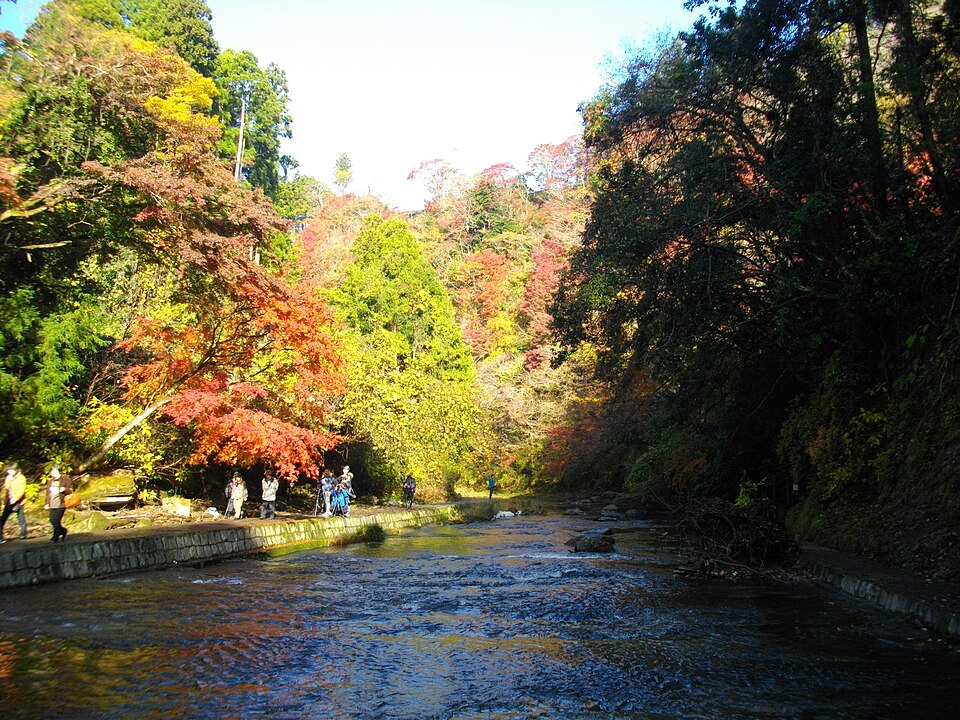 養老渓谷の澄んだ流れと紅葉，千葉縣的秋季紅葉名所