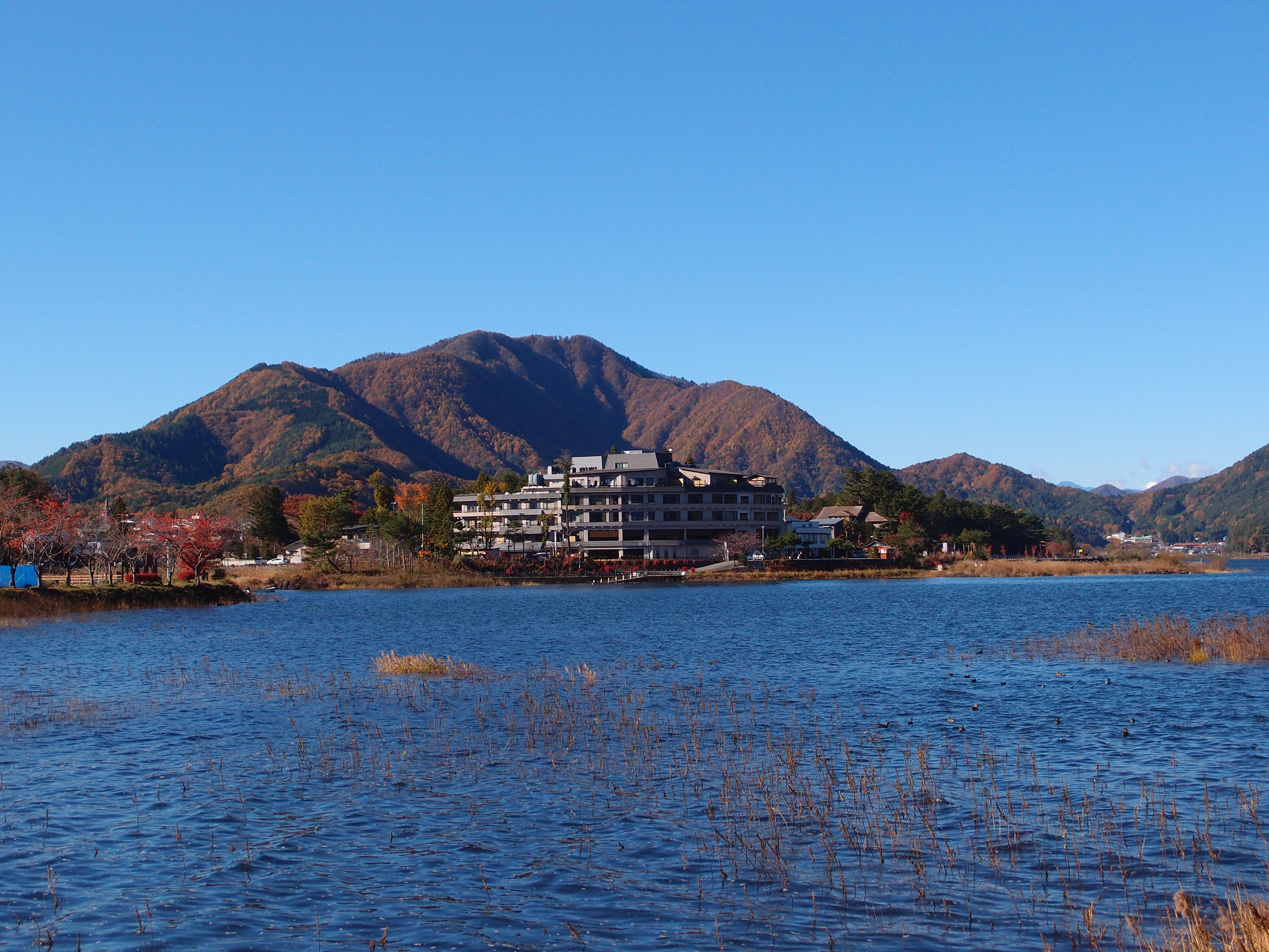 秋日河口湖湖景——湖畔旅館群、紅葉染色的群山與藍天，是富士山被雲遮時仍美的湖岸風景