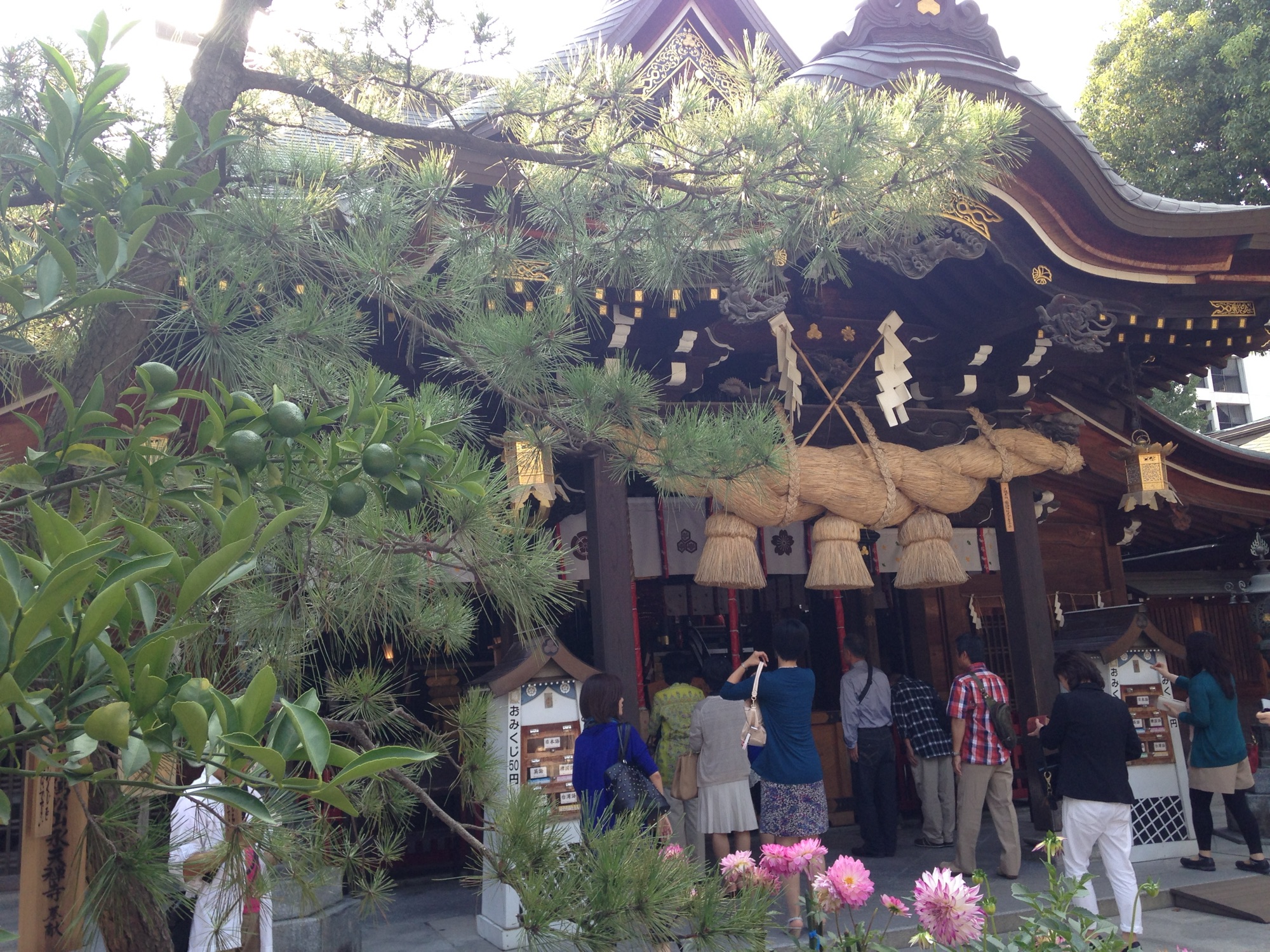 福岡 博多 櫛田神社 拝殿 — 博多總鎮守、博多祇園山笠的舞台