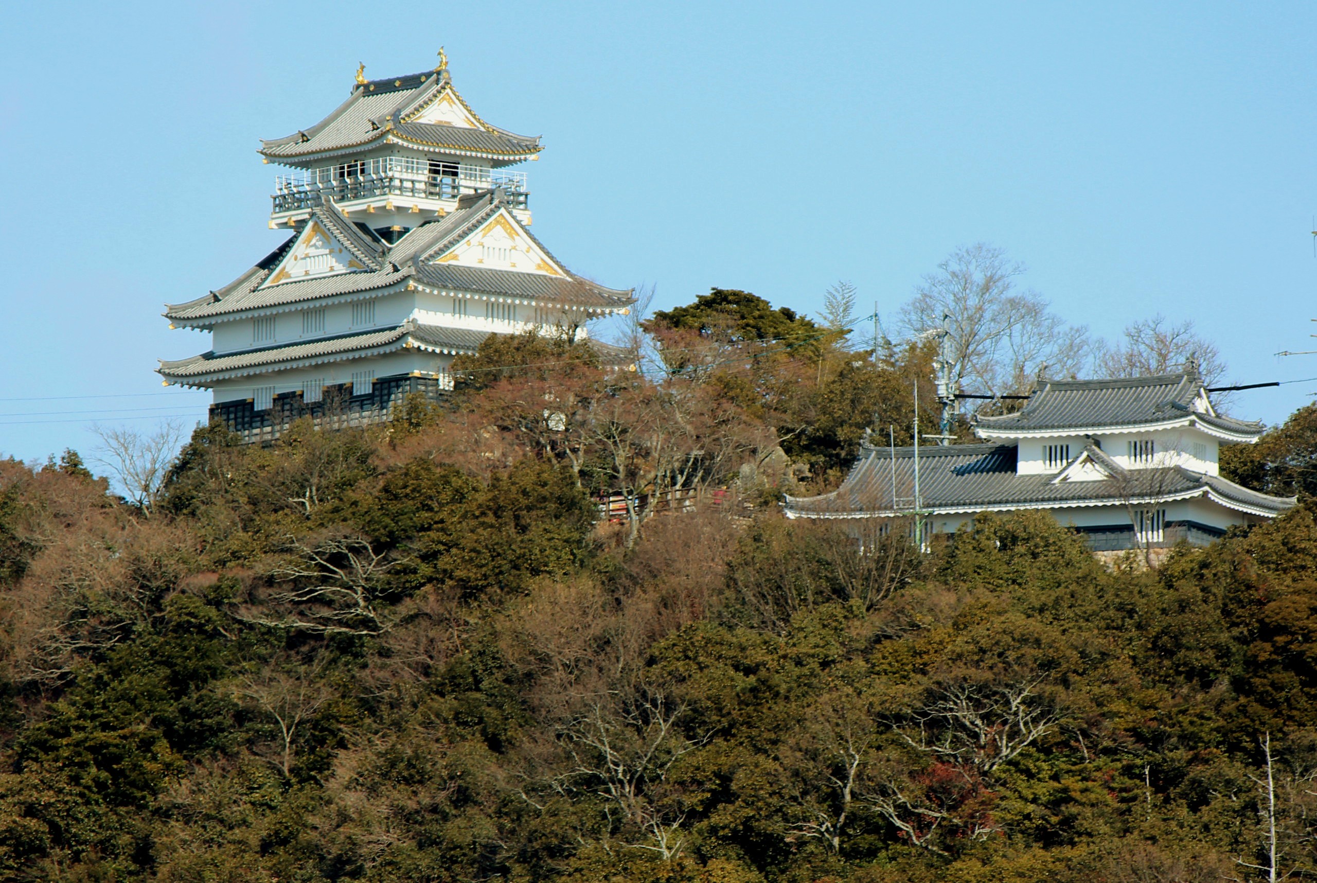 金華山山頂上的岐阜城，眺望長良川與岐阜市區的壯麗全景