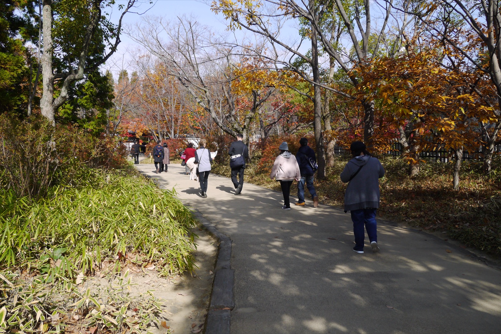 姬路城旁的好古園（こうこえん）日本庭園 —— 依姬路城西御屋敷跡打造、由九座主題庭園構成的池泉迴遊式庭園