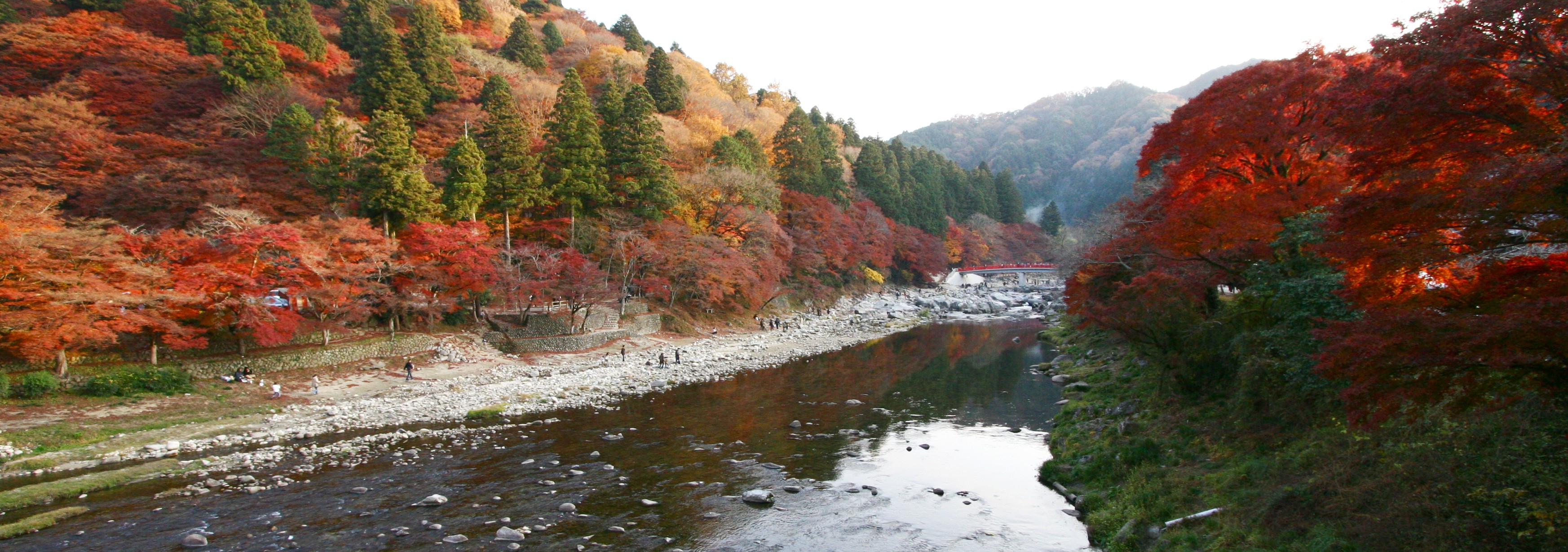 香嵐溪 紅葉 — 愛知縣豐田市足助町、約 4,000 本もみじの絶景