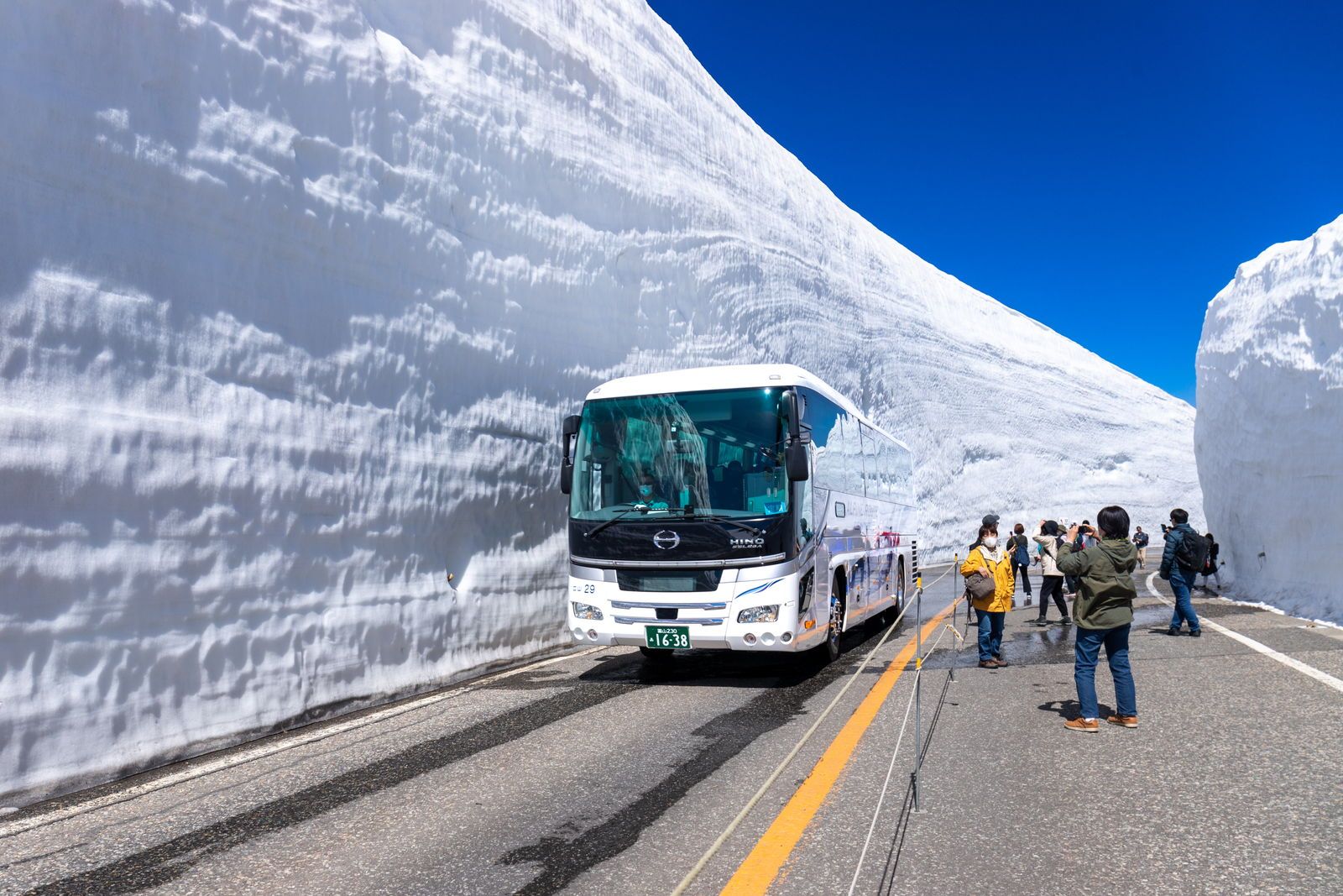 立山黑部 雪の大谷 — 春季的 20m 雪壁神級絶景