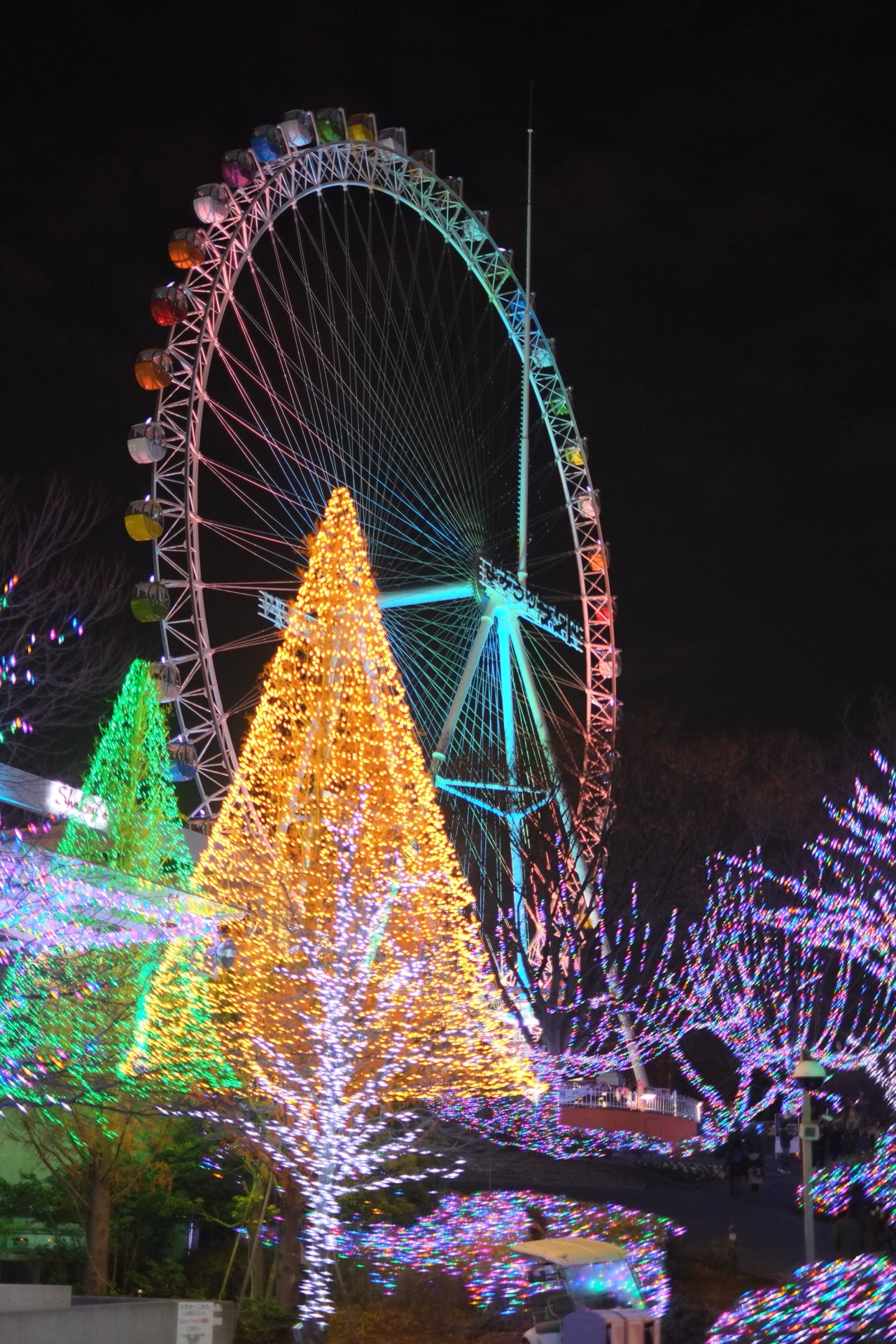 よみうりランド冬季燈飾 Jewellumination 夜景