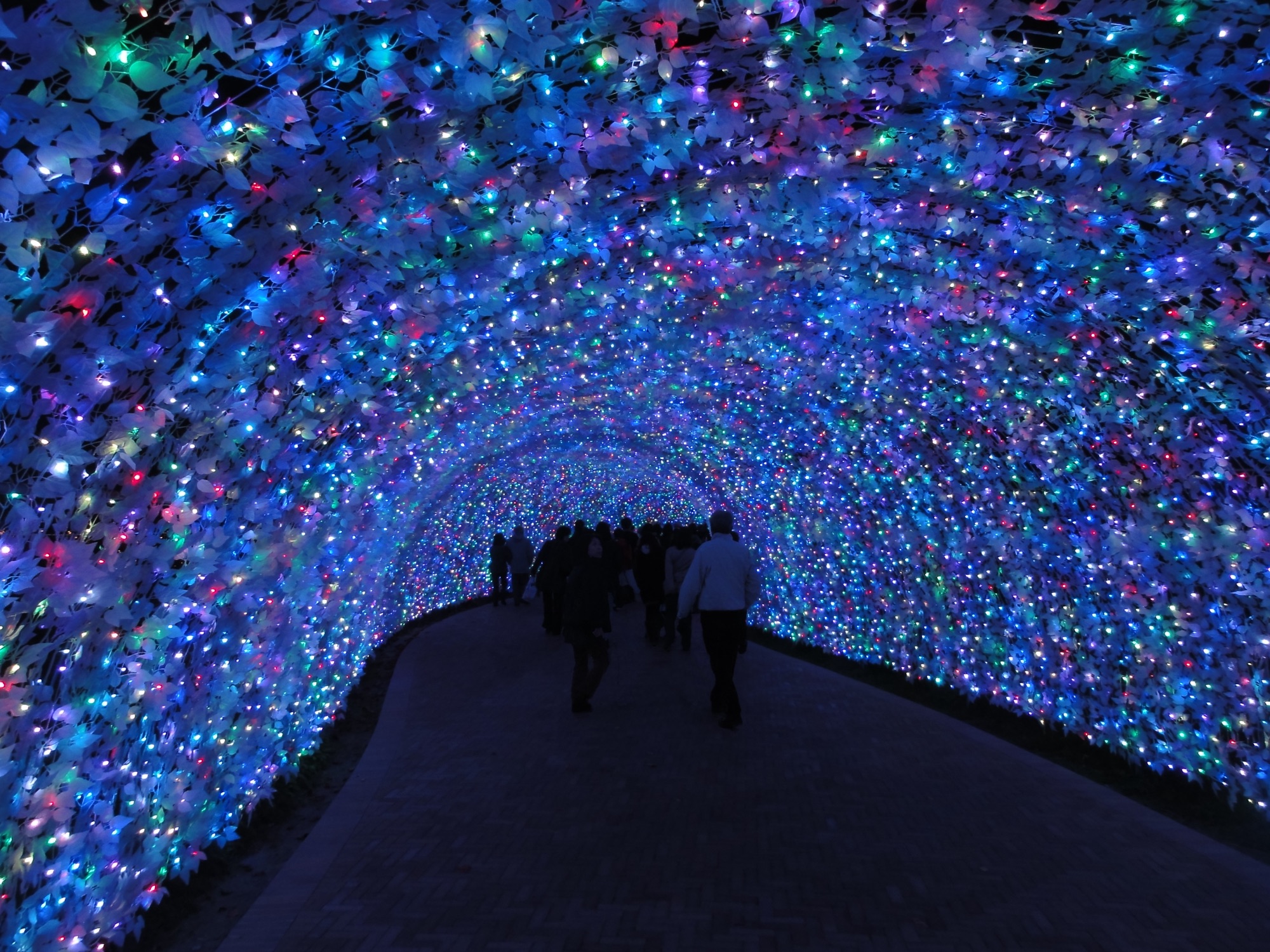 なばなの里 — 招牌的光之隧道（Tunnel of Lights）