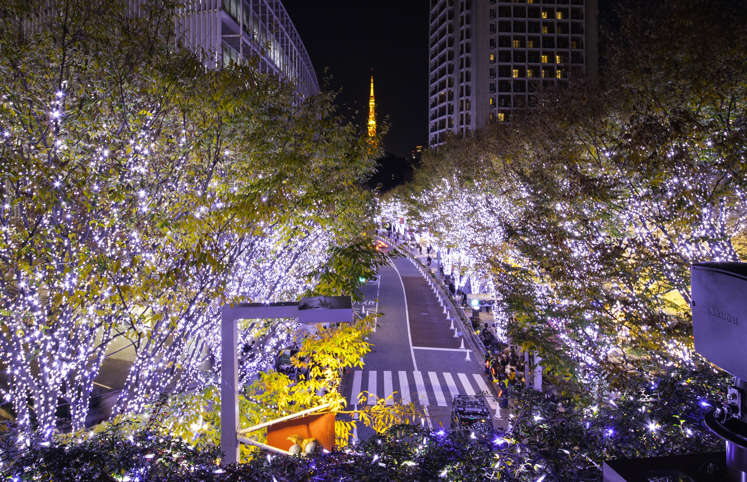 六本木けやき坂イルミネーション — 藍白 LED 點亮的櫸木並木道，盡頭正對東京鐵塔
