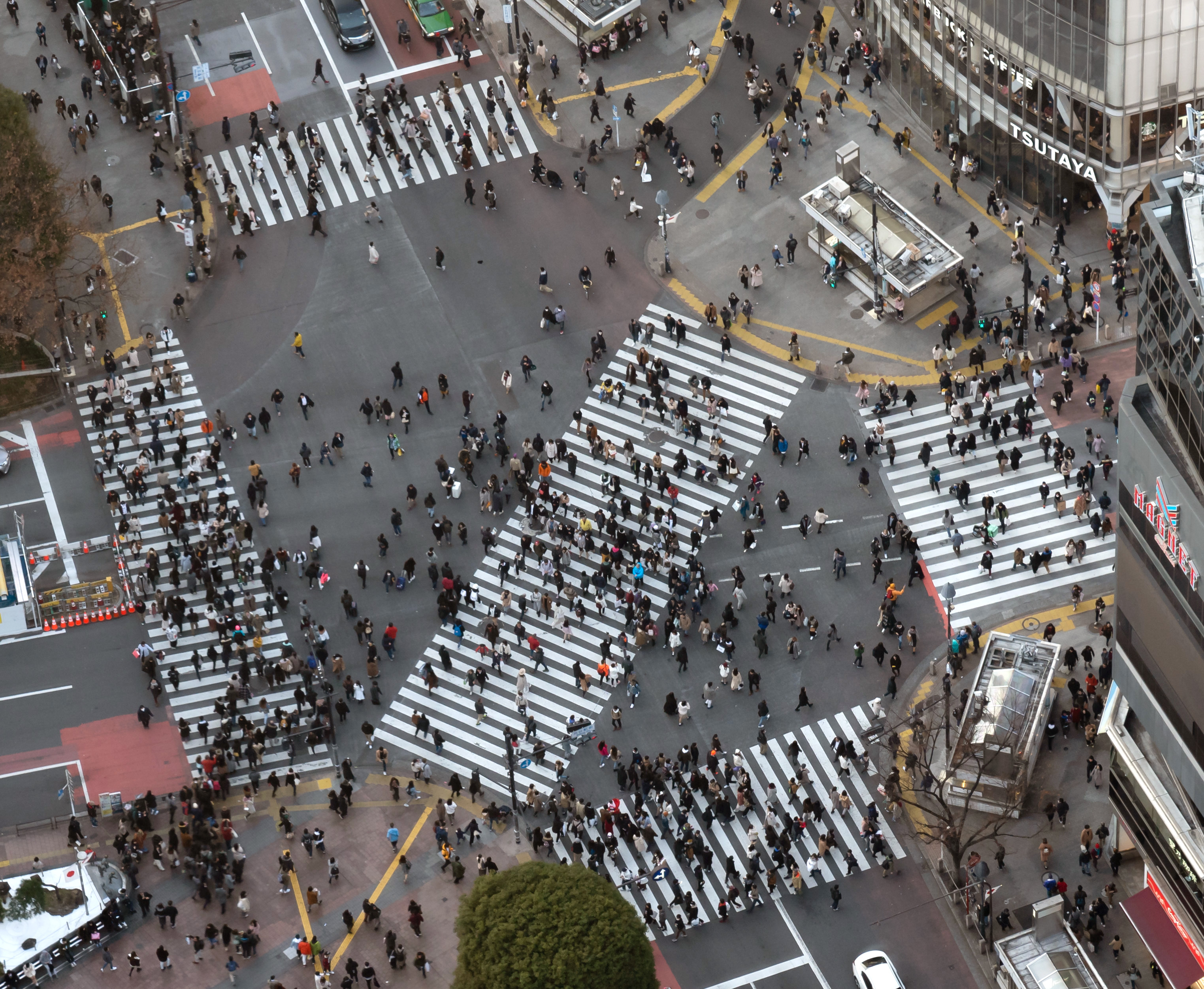 從 SHIBUYA SKY 俯瞰澀谷スクランブル交差點 — 咒術迴戰澀谷事變第 31 話開幕的取景地