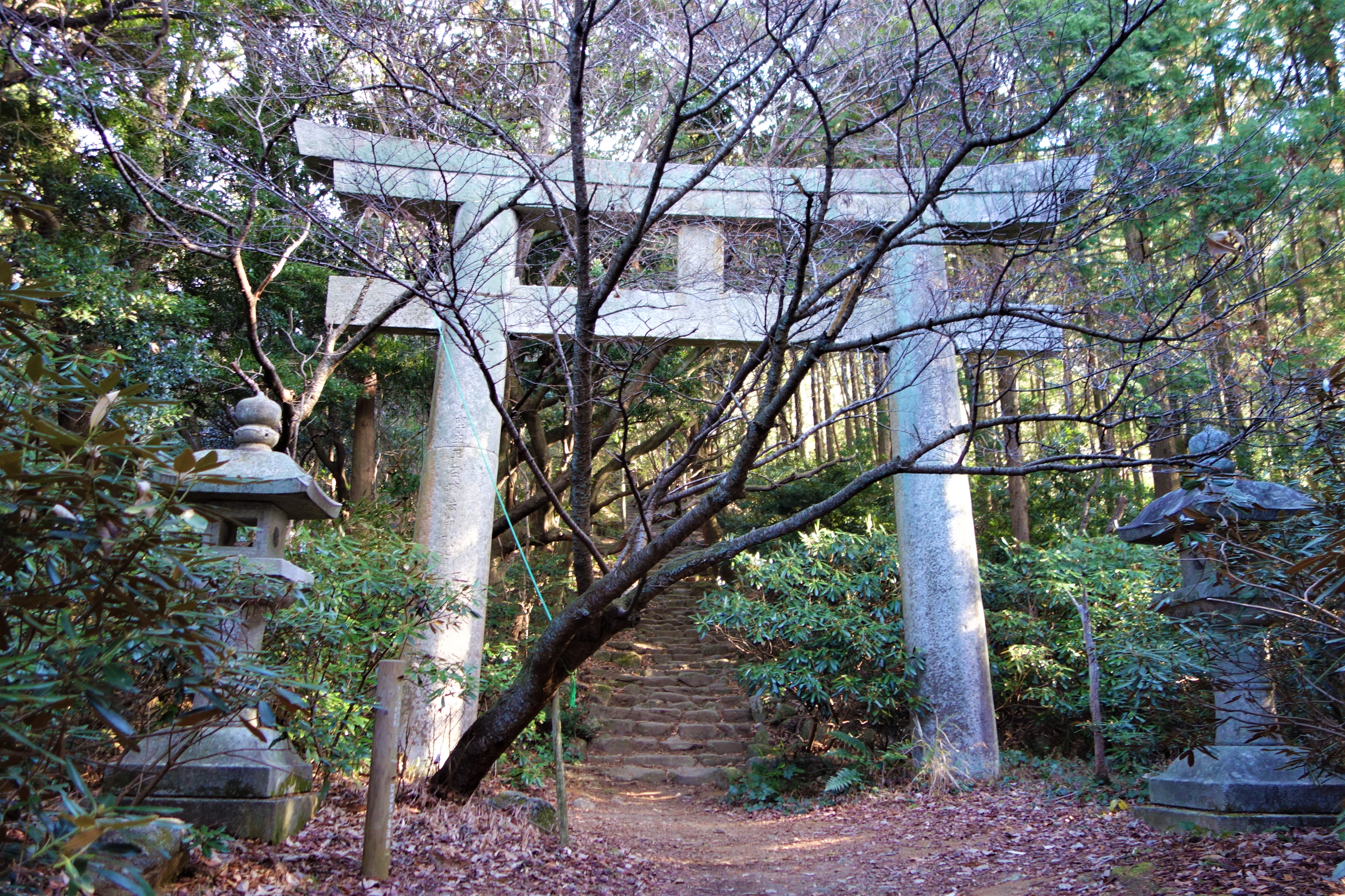 宝満宮竈門神社 一の鳥居 — 進入鬼滅之刃「ファン聖地」的入口