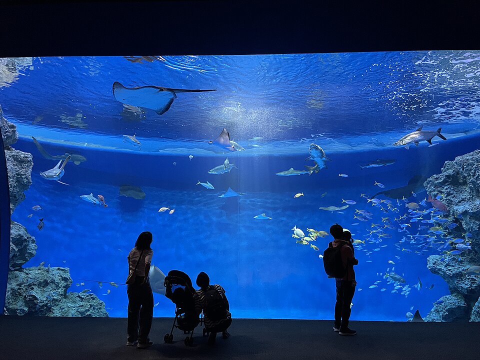 神戸須磨シーワールド アクアライブ（Aqua Live，熱帶生態大型水槽）— エイ（魟魚）・サメ（鯊魚）・小魚群展示、訪客剪影、館內代表的水族缸展示