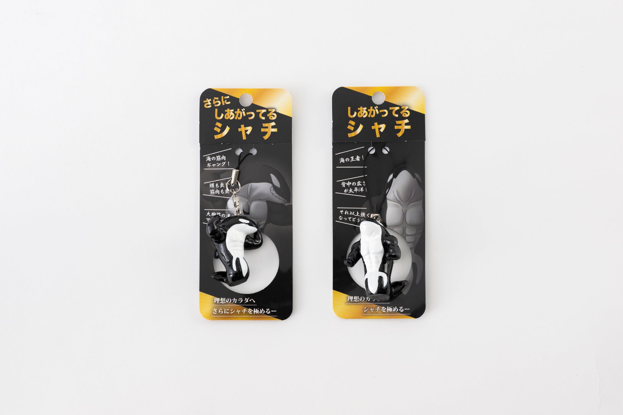 神戸須磨シーワールド「しあがってるシャチ」公式商品畫像 — マッチョ筋肉ボディのストラップ、満腹シャチとは別商品