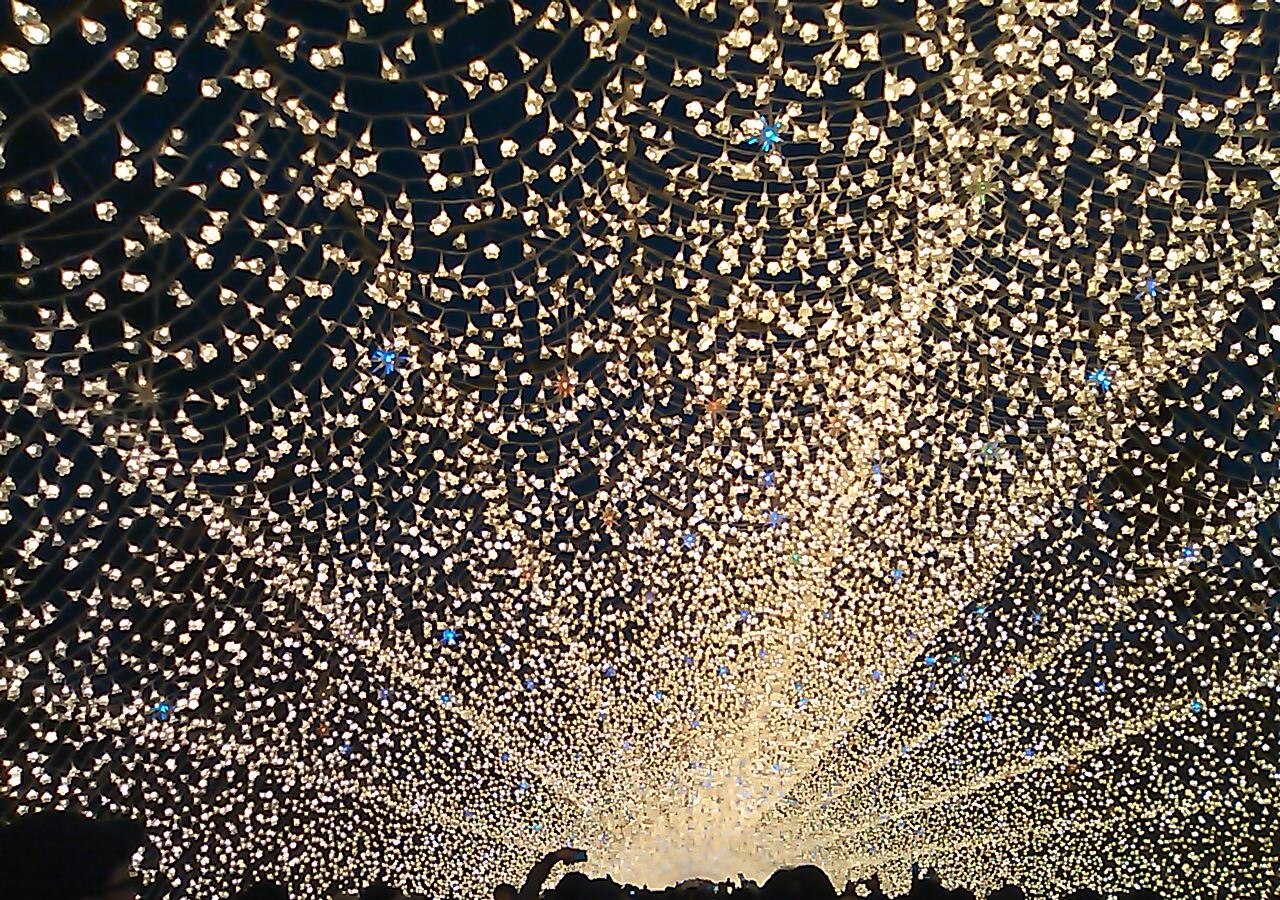 なばなの里冬季燈光秀 — 長嶋島上的花卉主題燈光展示，為日本規模最大的冬季イルミネーション之一