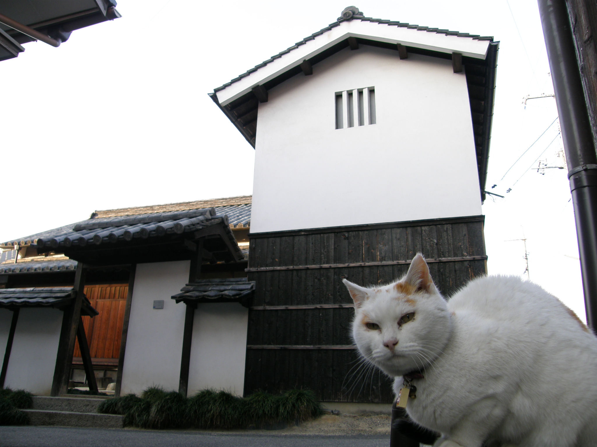 直島 家プロジェクト（Art House Project）角屋 — 本村地區、把老建築改造成藝術空間
