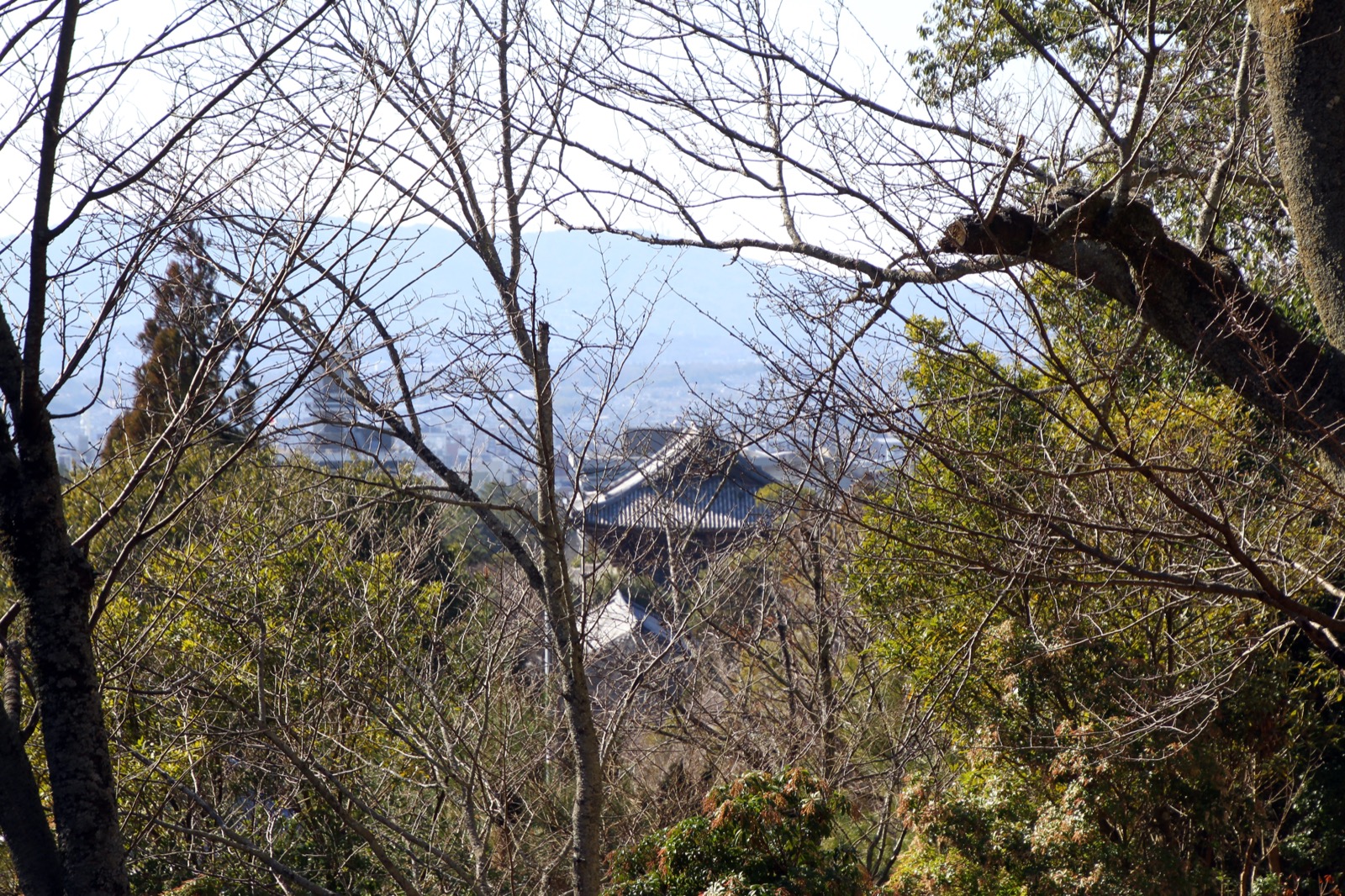 春日大社朱紅色社殿 — 創建於 768 年的世界文化遺產、春日造建築