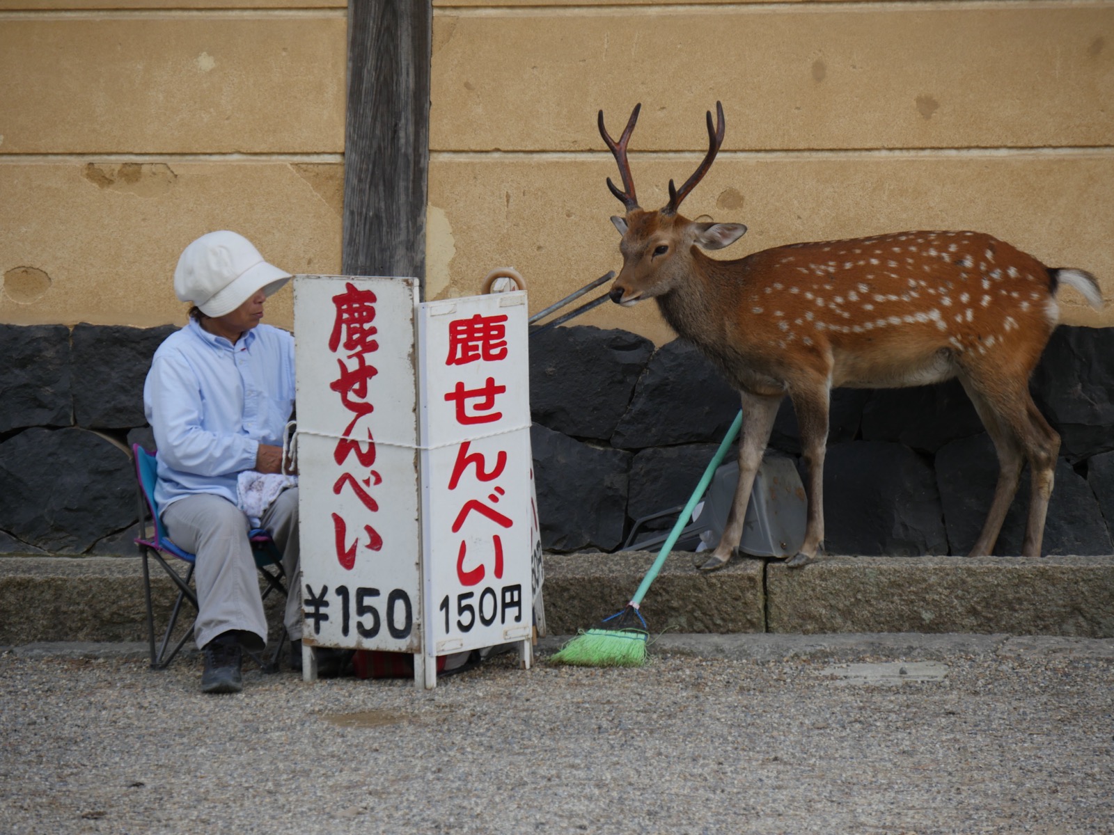 奈良公園的鹿仙貝（鹿せんべい）小販攤位與聚集等餵食的鹿 — 1 束 10 片 200 日圓