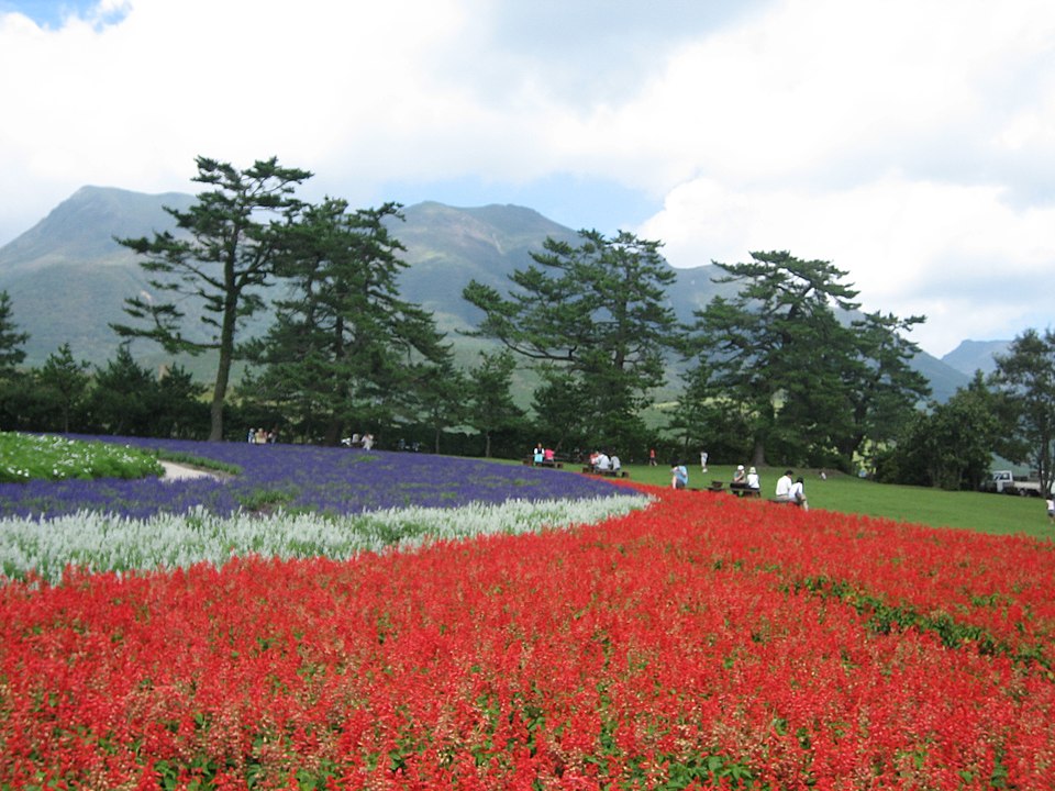 九重（くじゅう）連山與花公園全景，九州最高峰群，高原開闊的山岳景觀