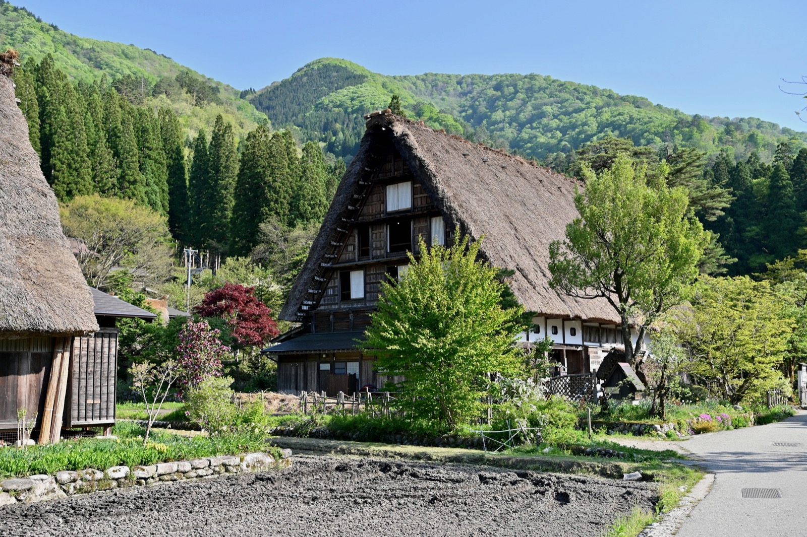 白川鄉荻町 明善寺庫裏 —— 村內唯一合掌造的寺院庫裏建築、岐阜縣指定有形文化財