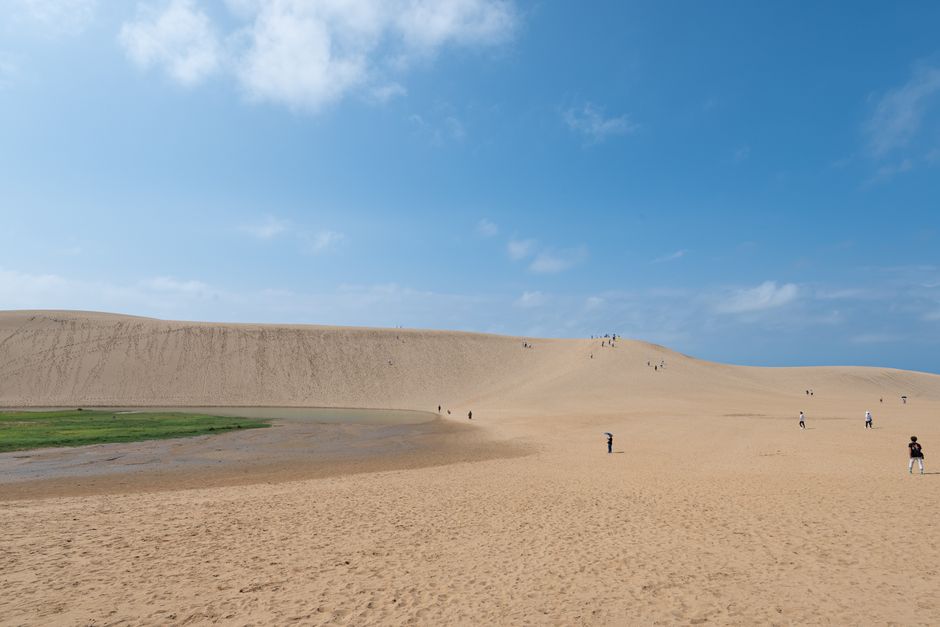鳥取砂丘全景，日本最大的海岸砂丘，鳥取縣代表地標