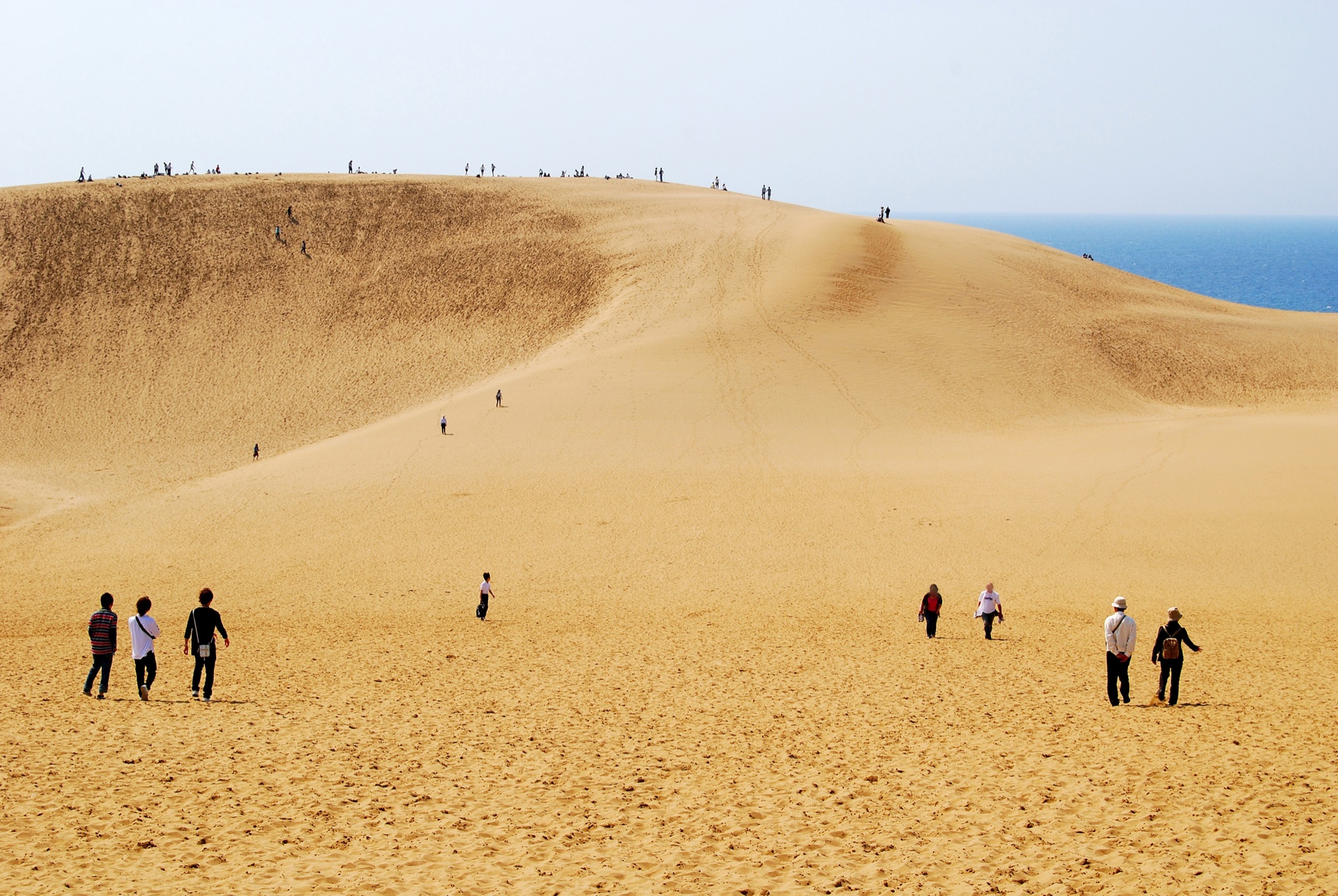 鳥取砂丘全景，日本最大的海岸砂丘，遠方為日本海