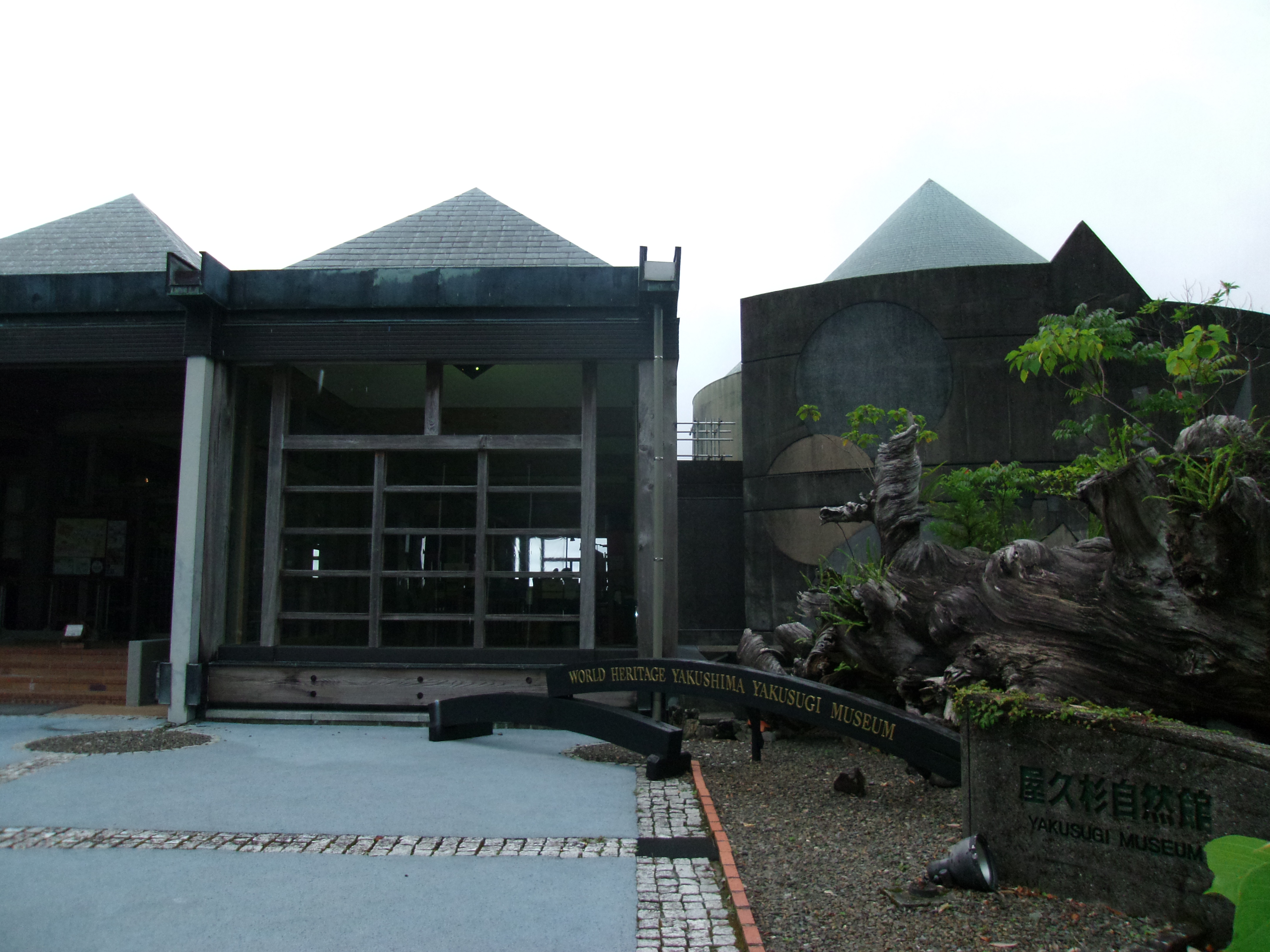 屋久杉自然館（屋久島町屋久杉自然館）外觀 — 繩文杉登山旺季的轉乘登山巴士起點