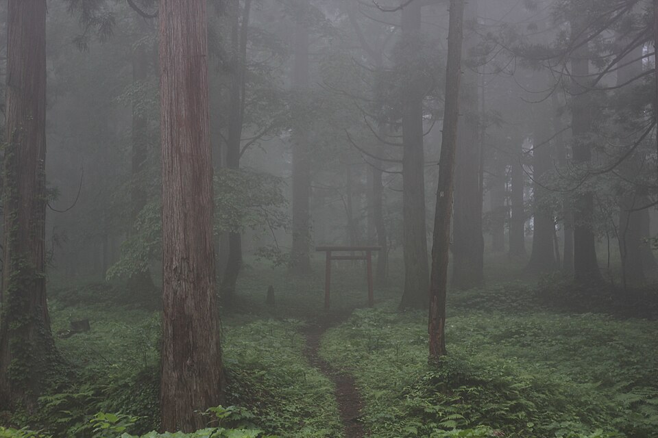 羽黒山霧中的鳥居，出羽三山的神聖入口，薄霧中的杉木參道