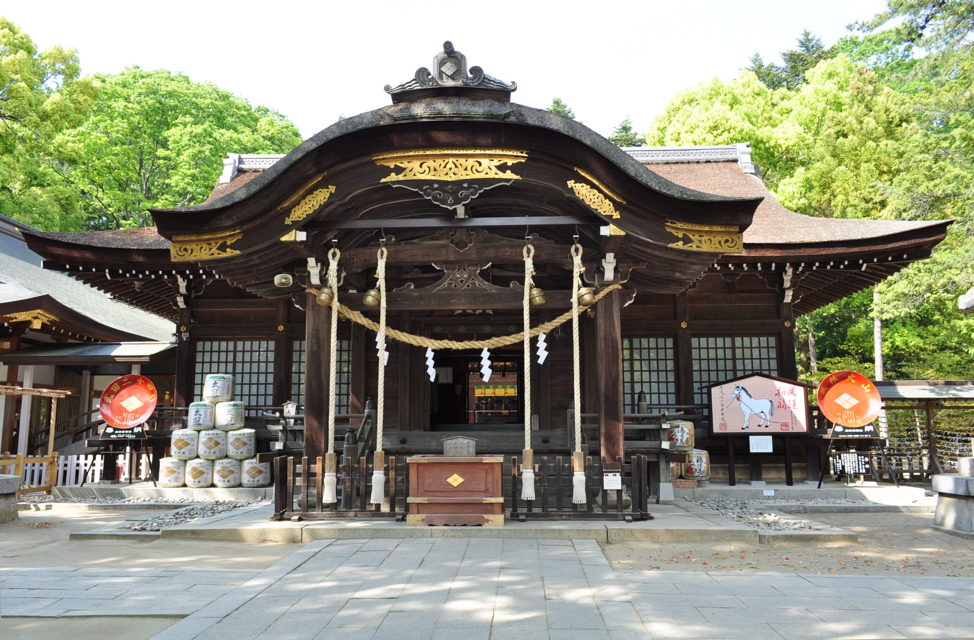 武田神社拝殿正面——木造社殿在濃密樹木包圍下，是甲府市內氣氛最莊嚴的神社